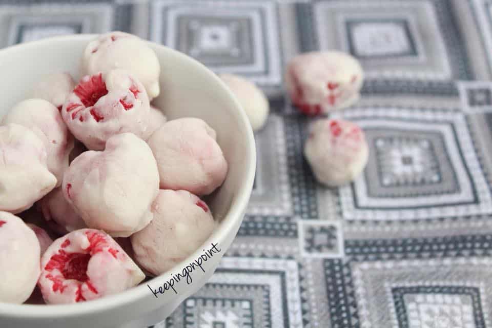Frozen Yogurt Covered Raspberries Weight Watchers 10