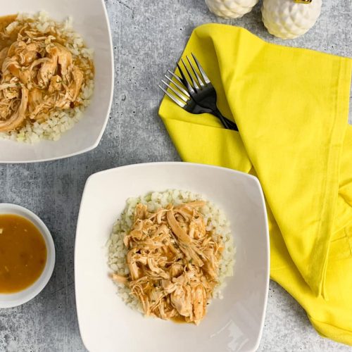 Instant Pot Chicken and Gravy WW (Weight Watchers)